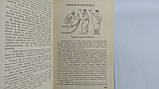 Боги та герої давньої Землі (б/у)., фото 6