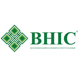 Насіння соняшнику Внис (Vnis)