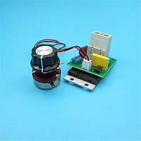 Регулятор напруги, потужності, Димер із вимикачем, плата 10000W — AC 220V