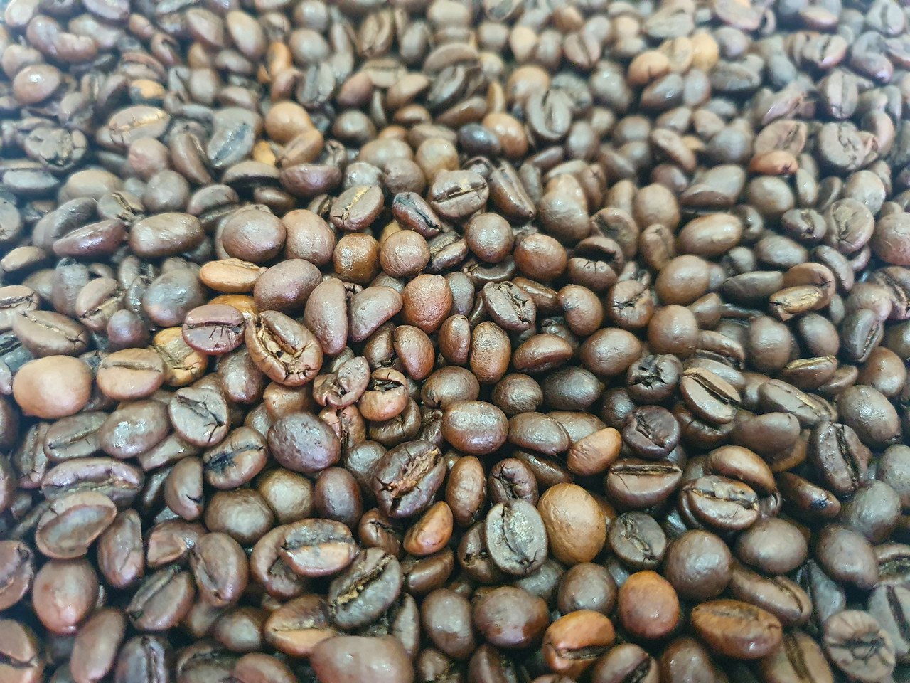 Ящик кофе в зернах Garibaldi Espresso Bar 1 кг (в ящике 10шт) - фото 7 - id-p1611668864