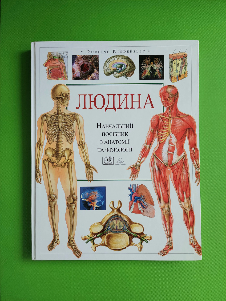 Анатомия И Физиология Человека Оптом | Сравнить Цены И Купить На.
