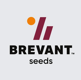 Brevant