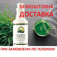 Chlorophyll Liquid NSP 476 мл БЕЗКОШТОВА ДОСТАВКА - замовити по телефону!