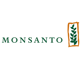 Насіння кукурудзи Monsanto (Монсанто)