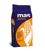 Насіння кукурудзи Mas 37.V ФАО 340