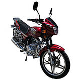 Мотоцикл VENTUS VS200-5 200 см3 з платформами для перевезення вантажів, фото 2