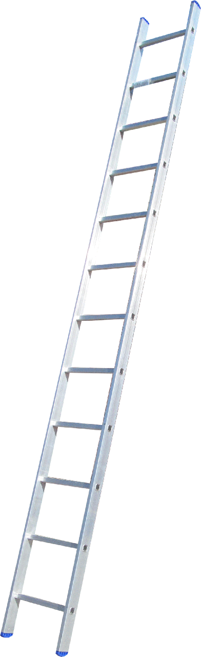 Драбина приставна ELKOP VHR Hobby 1x12 алюмінієва, 3207 мм (38177)