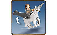 LEGO Harry Potter Подвір'я Гоґвортсу: порятунок Сіріуса (76401), фото 6