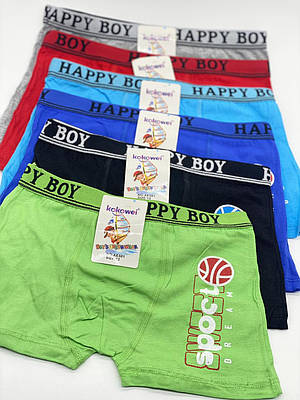 Дитячі боксери для хлопчиків HAPPY BOY EA501