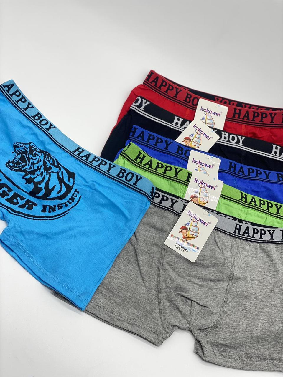 Дитячі боксери для хлопчиків HAPPY BOY AE505, фото 1