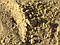 Пісок річковий Нікітінський, фото 6