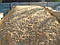 Пісок будівельний біляївський сіяний, фото 2