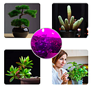 Світлодіодна фітолампа Е27 8Вт А60 із прозорого скла для декоративно-листяних рослин, фото 3