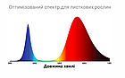 Світлодіодна фітолампа Е27 8Вт А60 із прозорого скла для декоративно-листяних рослин, фото 10