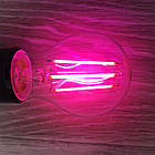 Фітолампа Е27 для рослин LED Filament 8Вт А60 прозора універсальна, фото 5