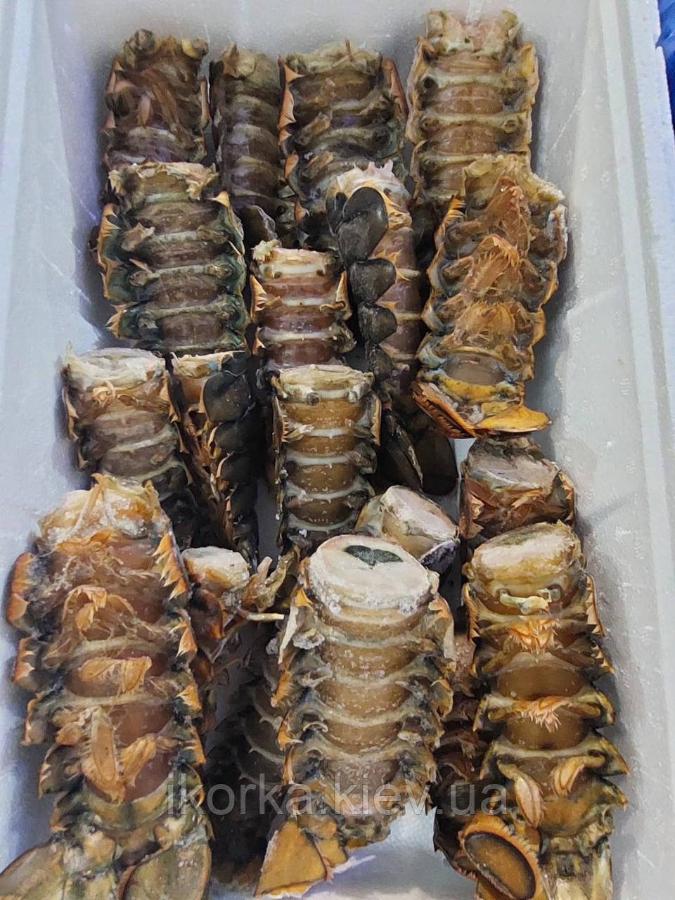 Лобстери хости 4OZ