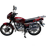 Мотоцикл VENTUS VS200-5 200 см3 з платформами для перевезення вантажів, фото 3