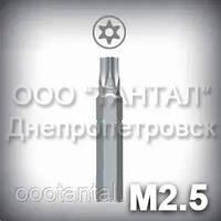 Біта М2.5 шліц Security Torx — насадка для викрутки до гвинтів антивандальним М2.5