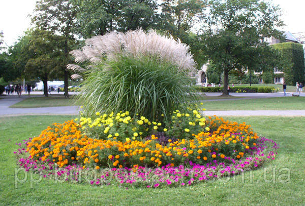 Як правильно розбити клумбу