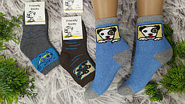 Шкарпетки дитячі р.16 на 26-28 розмір взуття махрові за 1 пару для хлопчика Friendli Socks 3031016-002
