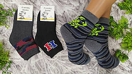 Шкарпетки дитячі р.22 на 32-34 розмір взуття махрові за 1 пару для хлопчика Friendli Socks 3031022-002