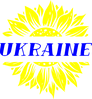 Термонаклейка соняшник України (патріотичний принт, наклейка на тканину), фото 3