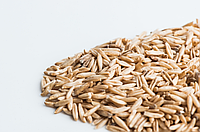 ОВЕС  зерно семена овса органического для проращивания 100 грамм