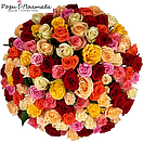 Уцінений набір 10 шт., фото 7