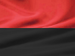 Прапор УПА 90х60 см, поліестер, 1 шт