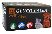 Тест-полоски Wellion Gluco Calea №50 (Австрия), Gluco Calea ts