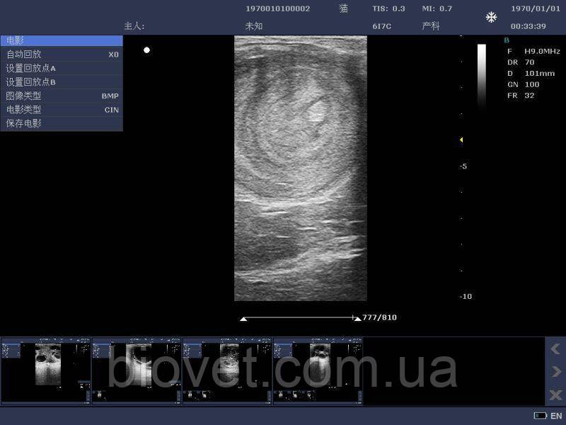 Ветеринарный УЗИ сканер KX DCU10, Kaixin - фото 7 - id-p1139635930
