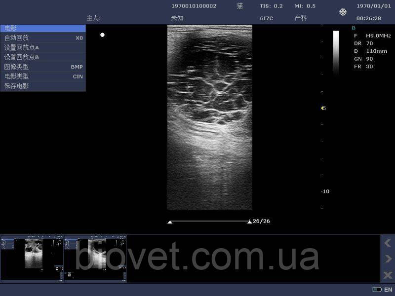 Ветеринарный УЗИ сканер KX DCU10, Kaixin - фото 9 - id-p1139635930