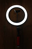 Кільцева світлодіодна Led Лампа 26 см зі штативом, селфи лампа/кільце, фото 5
