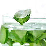 Ковдра Aloe Vera зимове євро 200х220 см IDEIA з просоченням екстрактом Алоє антиалергенна біла, фото 7