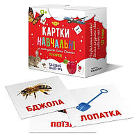 Картки навчальні за методикою Глена Домана «Базовий набір №1». Бренд - Мастер