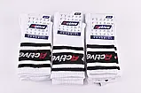 Шкарпетки чоловічі SPORT ХЛОПОК 25-27 ⁇ 12 пар, фото 2