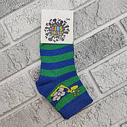 Шкарпетки дитячі середні весна/осінь р.5-6 гусениця асорті Kids Socks by Dukat 30036311, фото 2