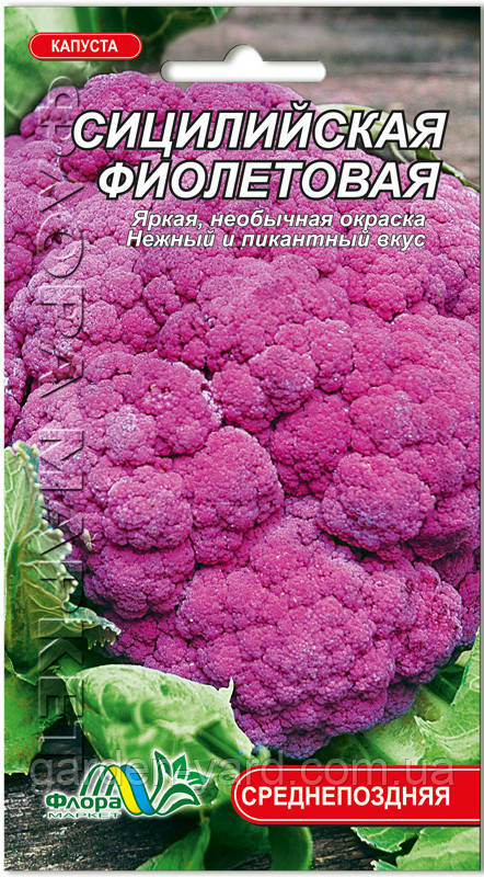 Насіння капуста цвітна Сицилійська фіолетова 0,1г. Флора маркет