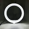 Кільцева LED-лампа MJ-26 RGB 26 см, Різнобарвна кільцева лампа, фото 8