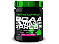 BCAA + Glutamine Xpress Scitec Nutrition (300 грамм)