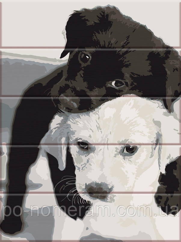 Акційна Живопис по номерам ArtStory Цуценята (ASW181) 30 х 40 см, фото 1