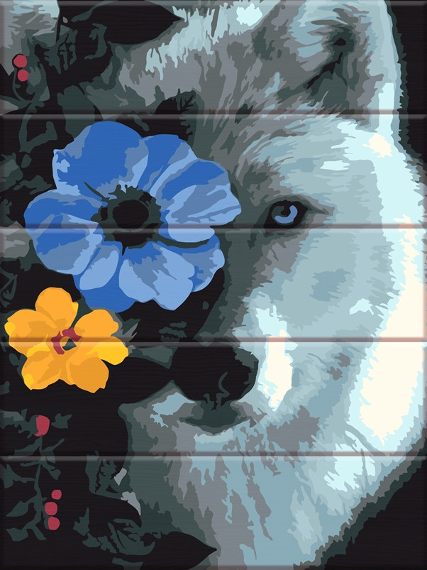 Акційна Картина за номерами ArtStory Вовк (ASW191) 30 х 40 см, фото 1