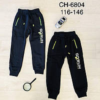 Спортивные утепленные штаны для мальчиков оптом, S&D, 4-12 лет, № CH-6804