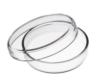 Купить Чашка Петри, стеклянная d-100mm, цена 75 ₴ — Prom.ua (ID#1677406785)