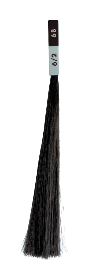 LA BIOSTHETIQUE Coloring and Perming Hair Tint & Tone Advanced 6/2 - Стойкая краска для волос - 6/2