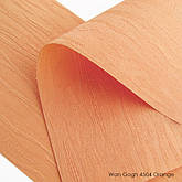 van_ggh_4504_orange.jpg