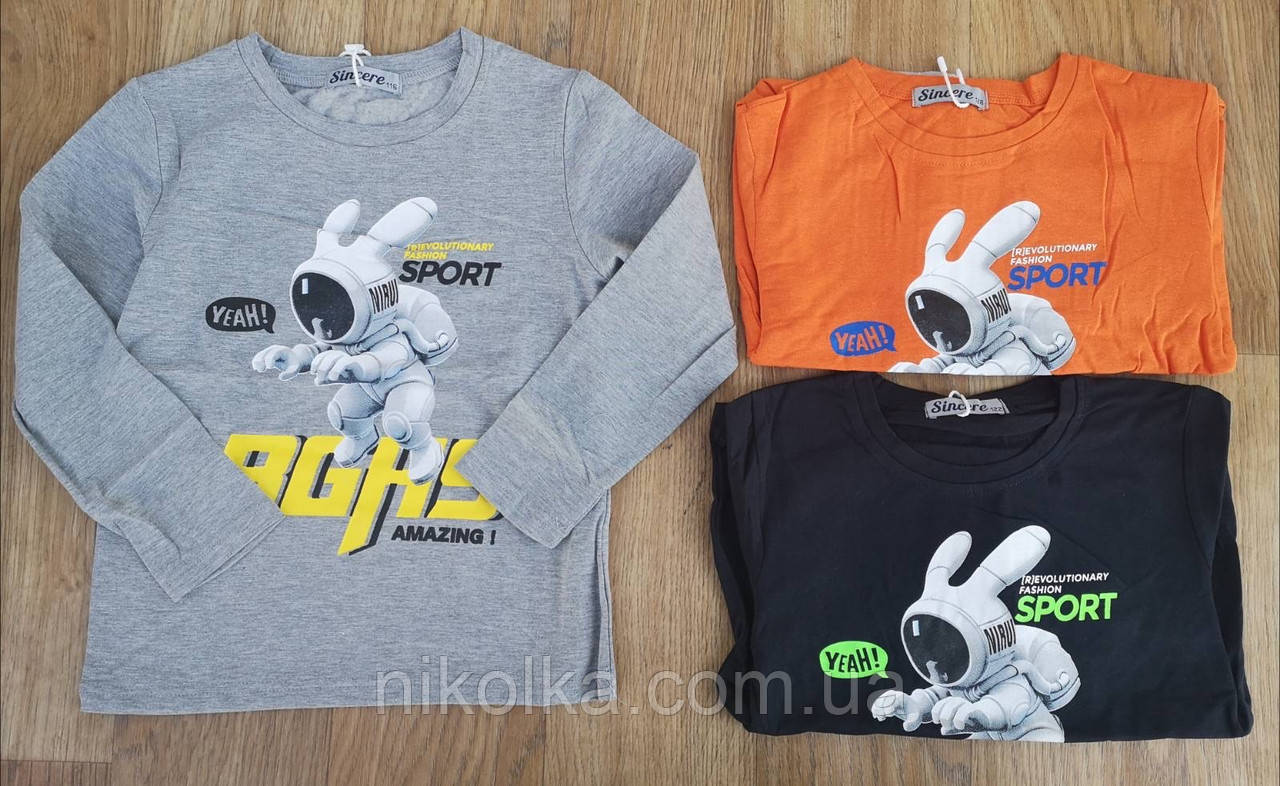 Кофта з мікронапиленням для хлопчиків оптом, Sincere, 98-128 рр., aрт. ZOL-3377