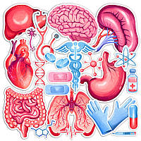 Набор виниловых наклеек (стикеров) от Lex Altern (Человеческое тело, органы, медицина, врач, больничный,