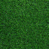 Штучна трава Congrass Tropicana 15 - ширина 2 і 4 метри /безкоштовна доставка/ - єВідновлення