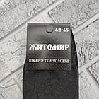 Шкарпетки чоловічі високі весна/осінь р.42-45 асорті ЖИТОМИР ДУКАТ 30036298, фото 3